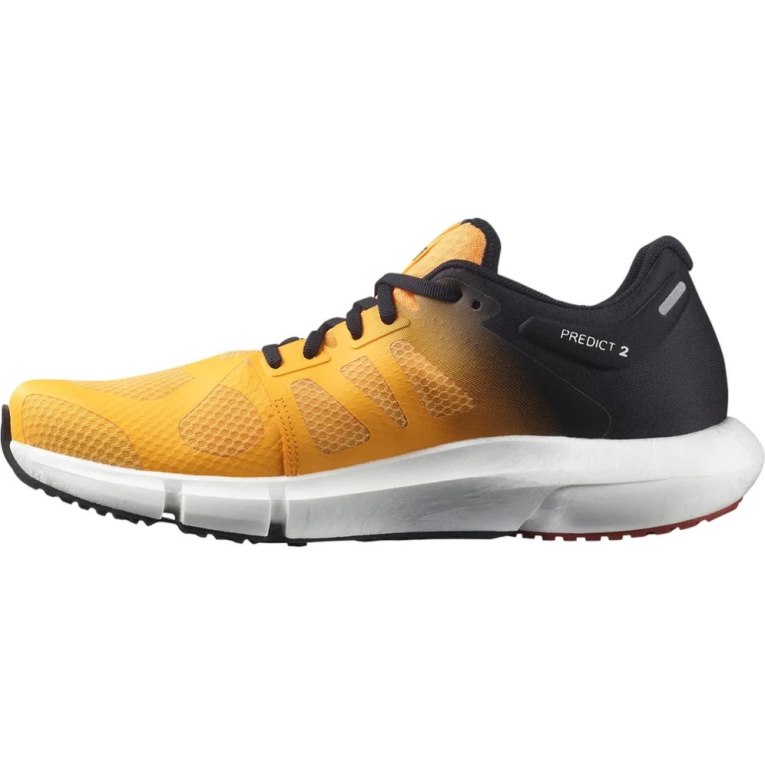 Mango / Black Salomon Predict 2 Men's Running Shoes | PH 17268M